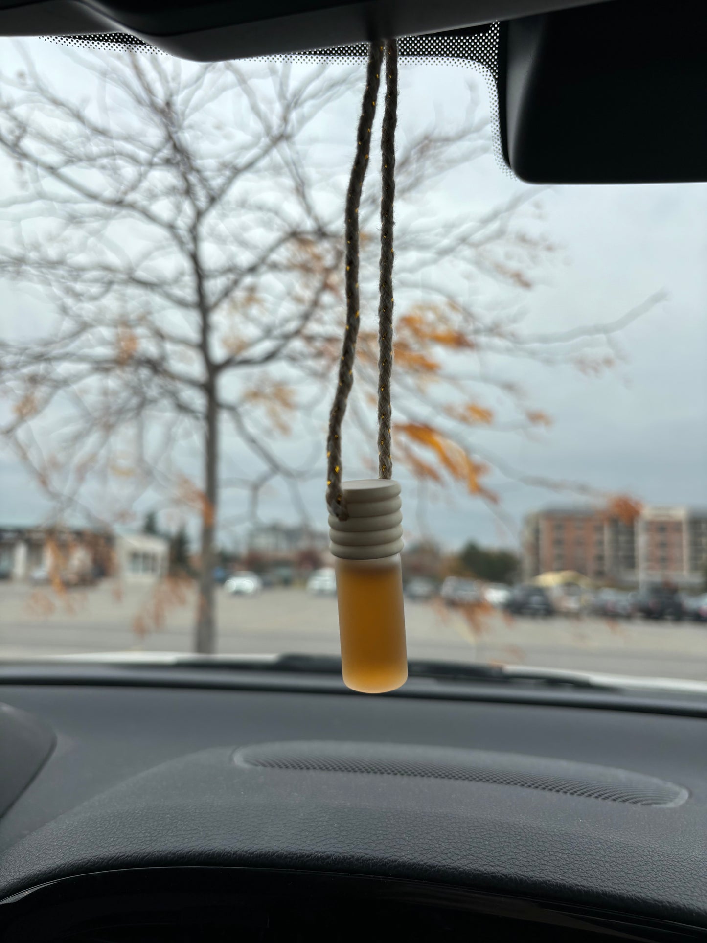 Car Freshiezzz - Bottle