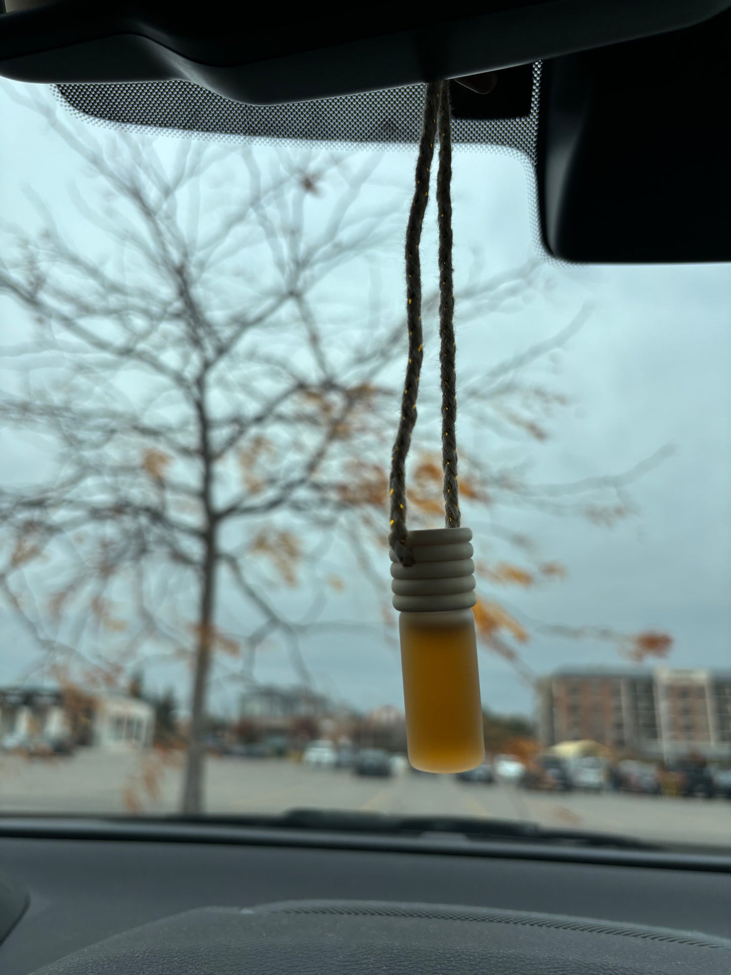 Car Freshiezzz - Bottle